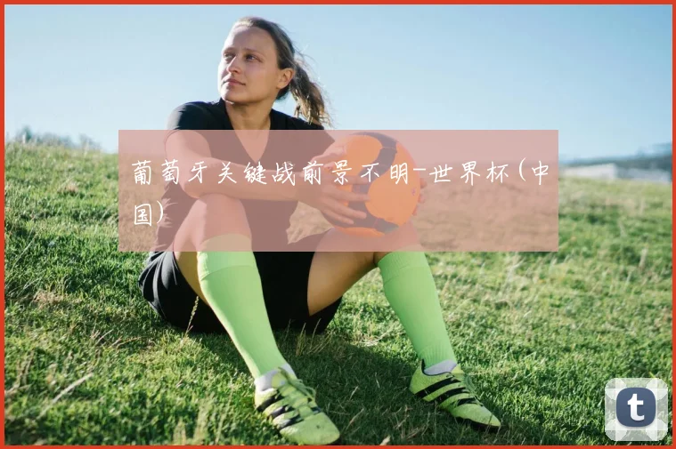 葡萄牙关键战前景不明-世界杯(中国)