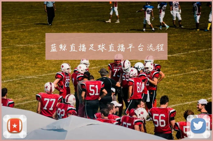 蓝鲸直播足球直播平台流程