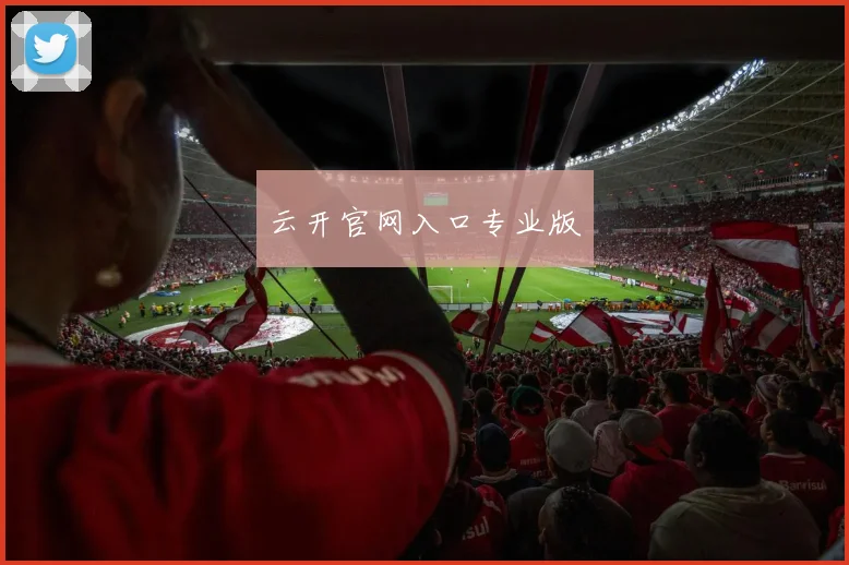 云开官网入口专业版