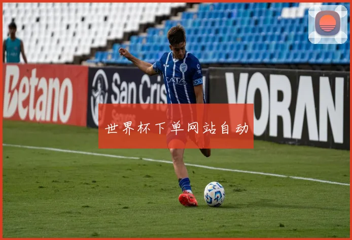 世界杯下单网站自动