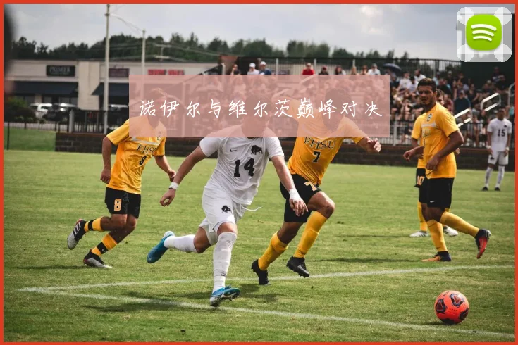 诺伊尔与维尔茨巅峰对决