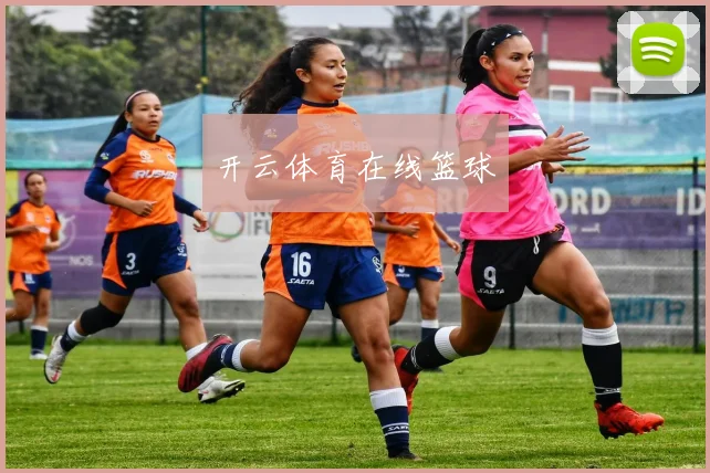开云体育在线篮球