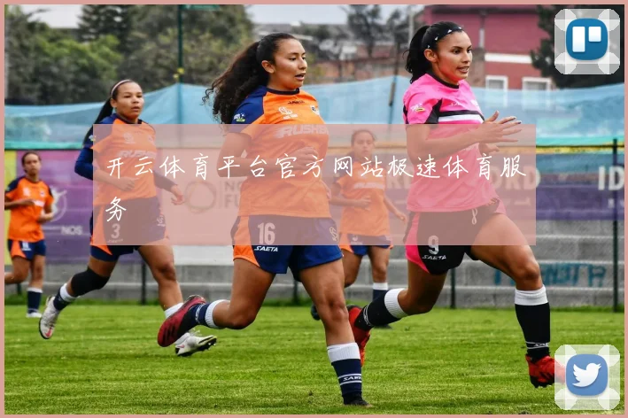 开云体育平台官方网站极速体育服务