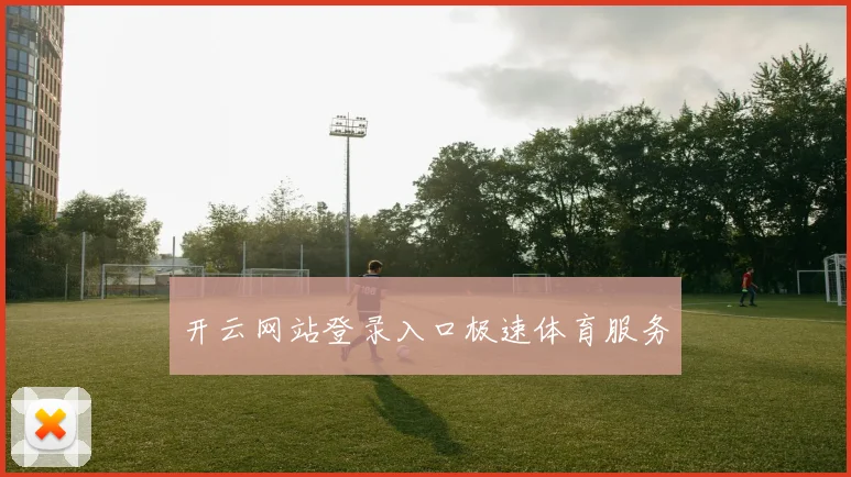 开云网站登录入口极速体育服务