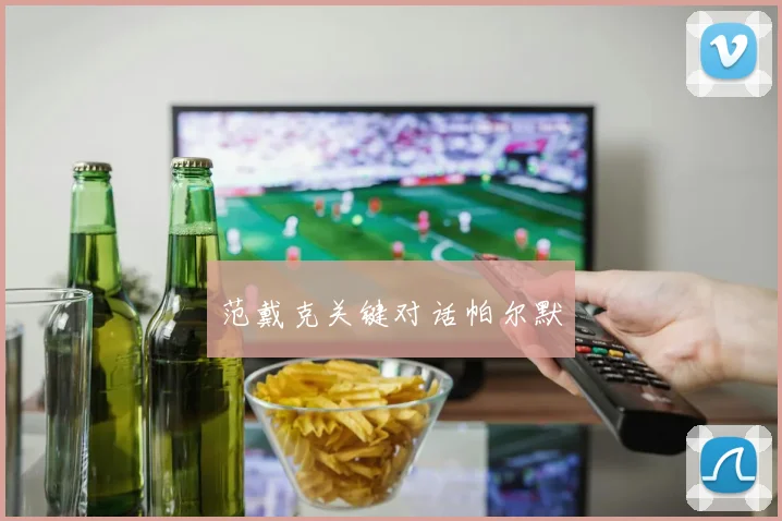 范戴克关键对话帕尔默
