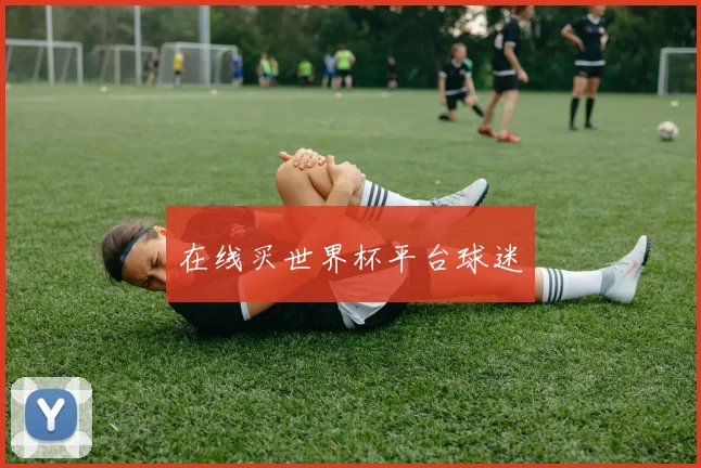 在线买世界杯平台球迷
