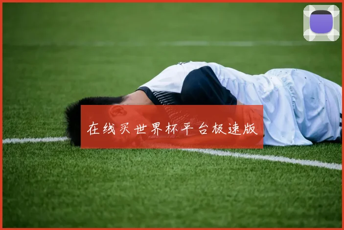 在线买世界杯平台极速版
