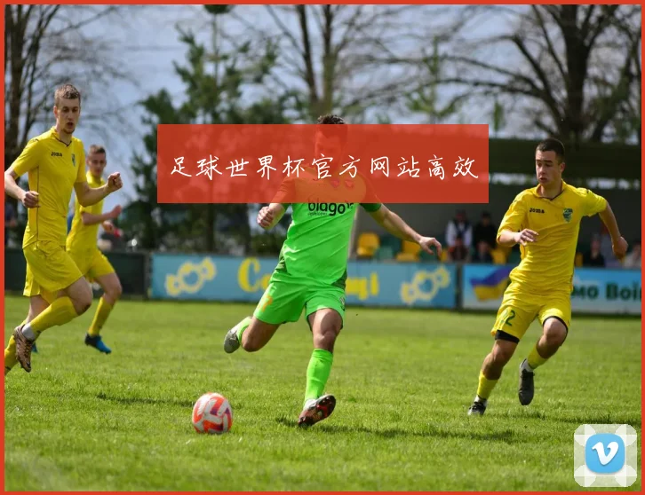 足球世界杯官方网站高效