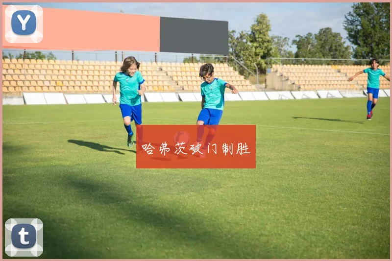 哈弗茨破门制胜