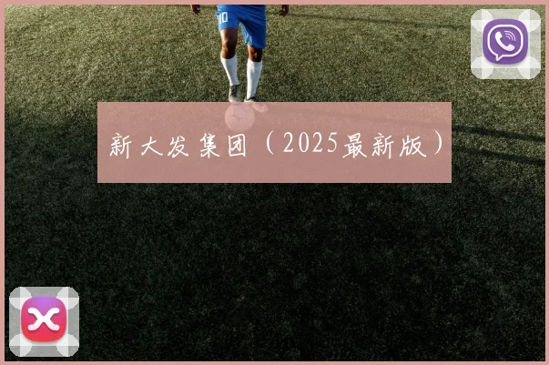 新大发集团（2025最新版）