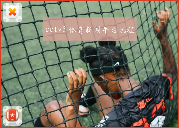 cctv5 体育新闻平台流程