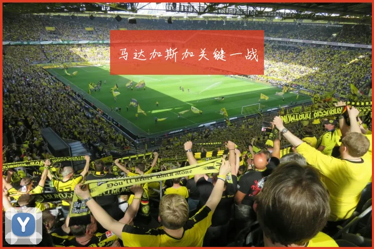 马达加斯加关键一战