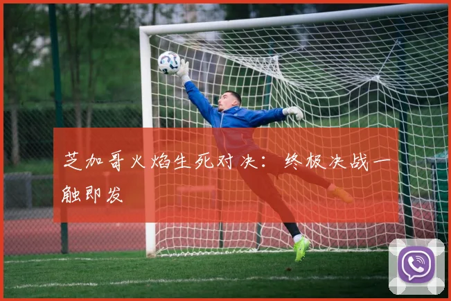 芝加哥火焰生死对决：终极决战一触即发