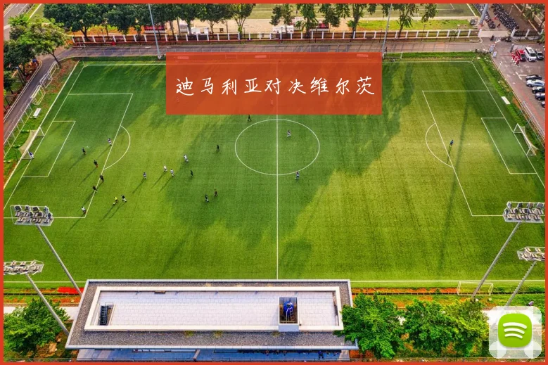 迪马利亚对决维尔茨