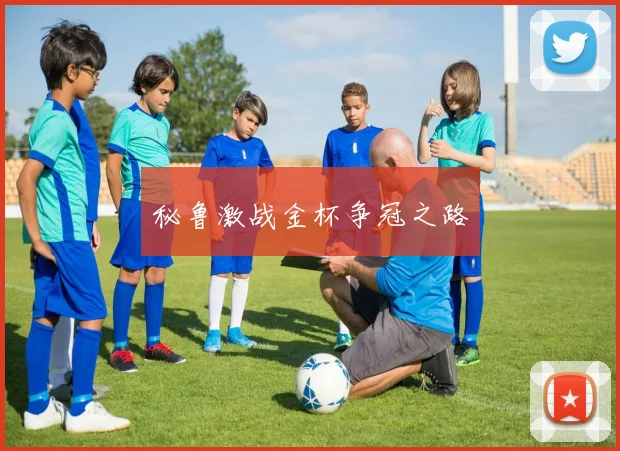秘鲁激战金杯争冠之路