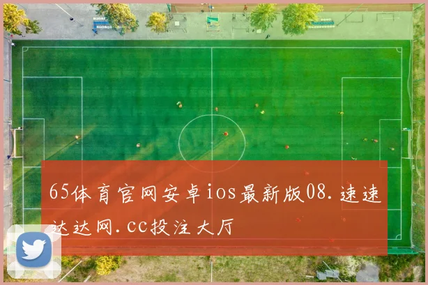 65体育官网安卓ios最新版08.速速达达网.cc投注大厅