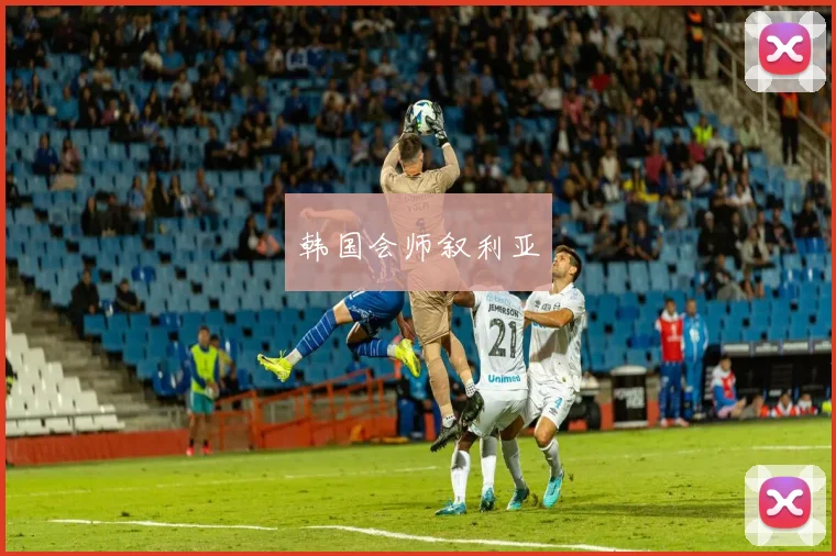 韩国会师叙利亚