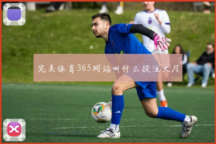 完美体育365网站叫什么投注大厅