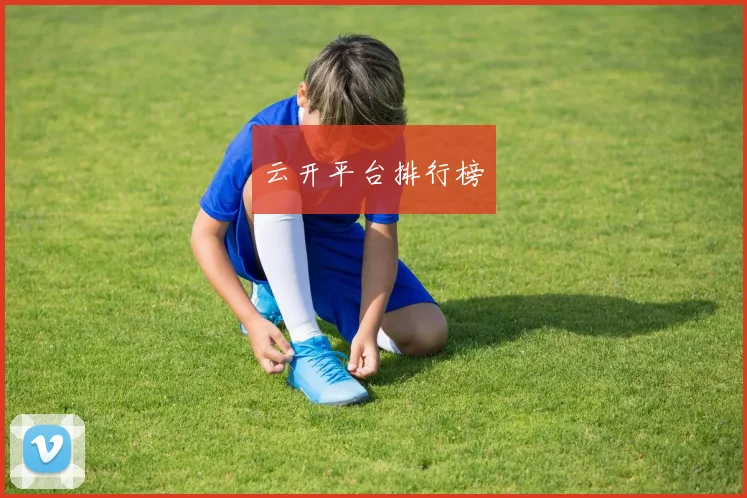 云开平台排行榜