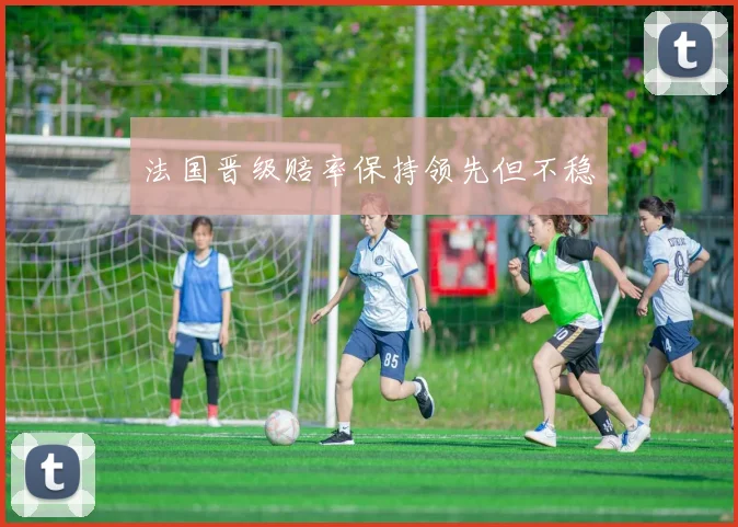 法国晋级赔率保持领先但不稳