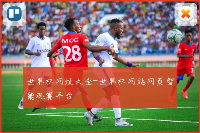 世界杯网址大全-世界杯网站网页智能观赛平台