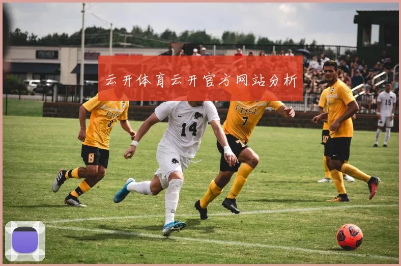云开体育云开官方网站分析