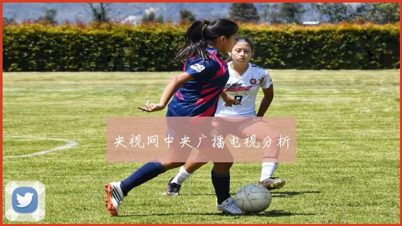 央视网中央广播电视分析