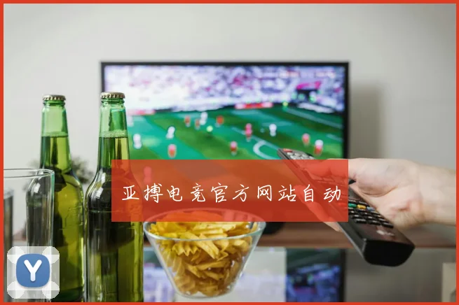 亚搏电竞官方网站自动