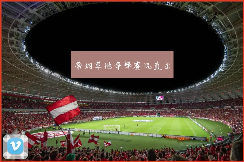 蒂姆草地争锋赛况直击