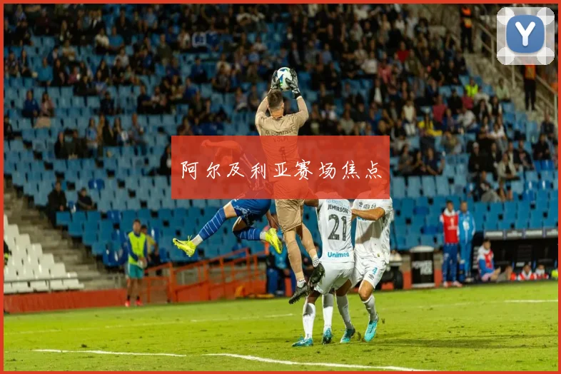 阿尔及利亚赛场焦点