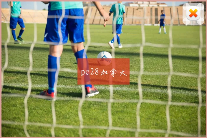 pc28加拿大