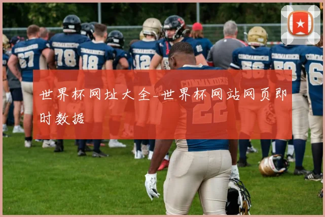 世界杯网址大全_世界杯网站网页即时数据