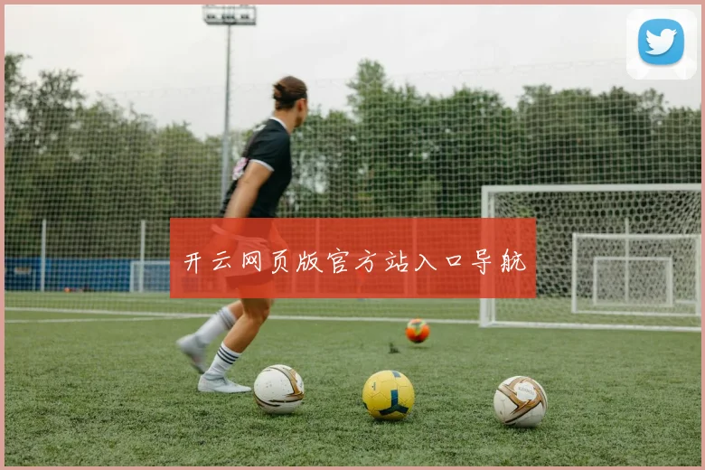 开云网页版官方站入口导航