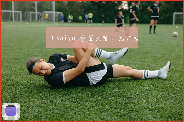 「Kaiyun中国大陆」无广告