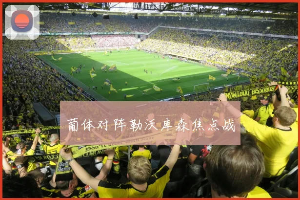 葡体对阵勒沃库森焦点战