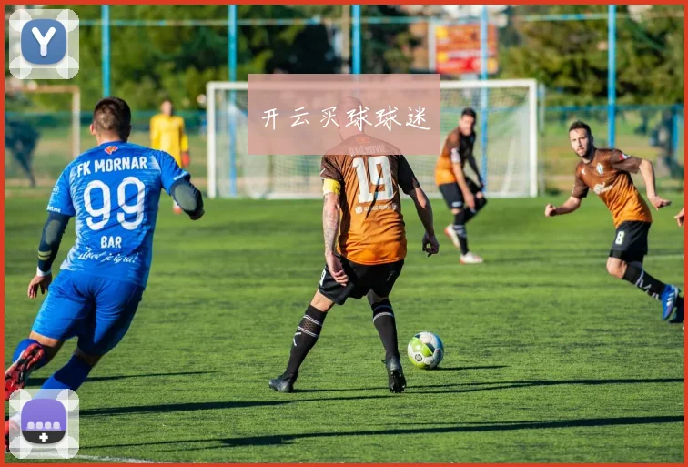 开云买球球迷