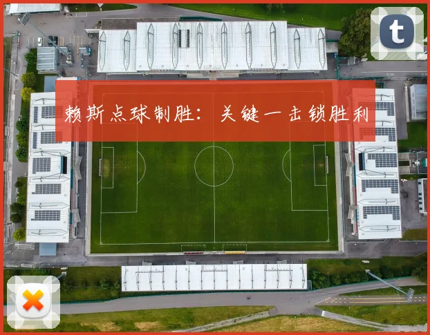 赖斯点球制胜：关键一击锁胜利