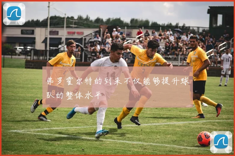 弗罗霍尔特的到来不仅能够提升球队的整体水平