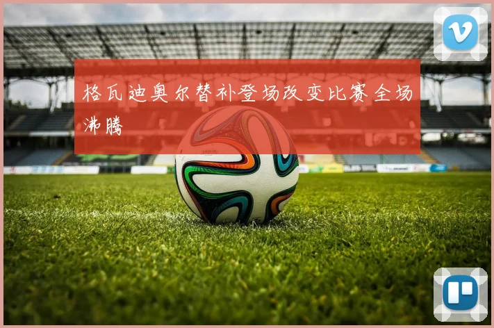 格瓦迪奥尔替补登场改变比赛全场沸腾