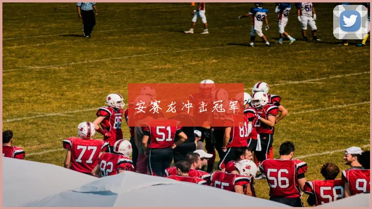 安赛龙冲击冠军