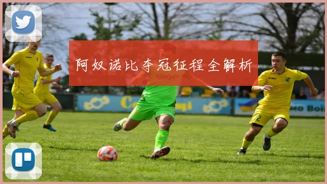 阿奴诺比夺冠征程全解析