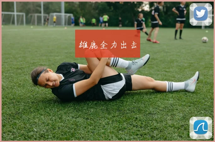 雄鹿全力出击
