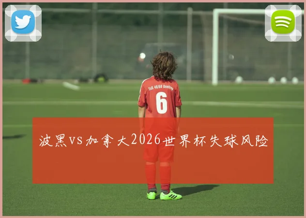 波黑vs加拿大2026世界杯失球风险