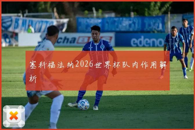 塞科福法纳2026世界杯队内作用解析
