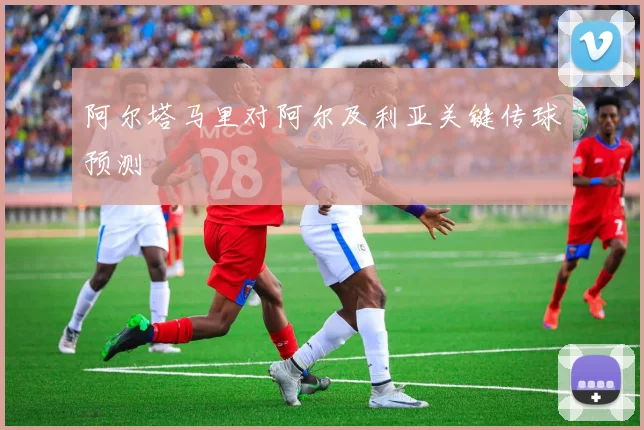 阿尔塔马里对阿尔及利亚关键传球预测