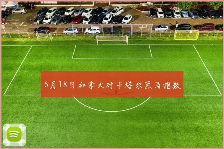 6月18日加拿大对卡塔尔黑马指数