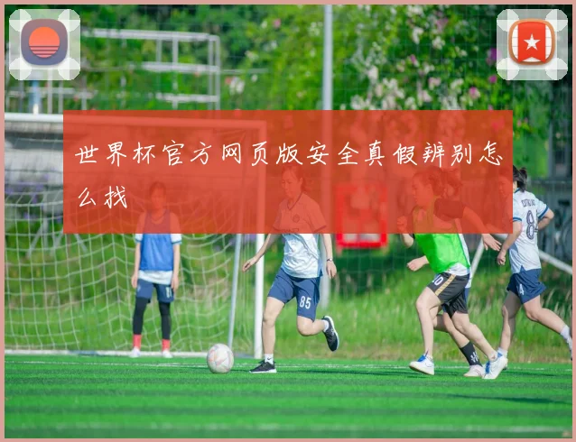 世界杯官方网页版安全真假辨别怎么找