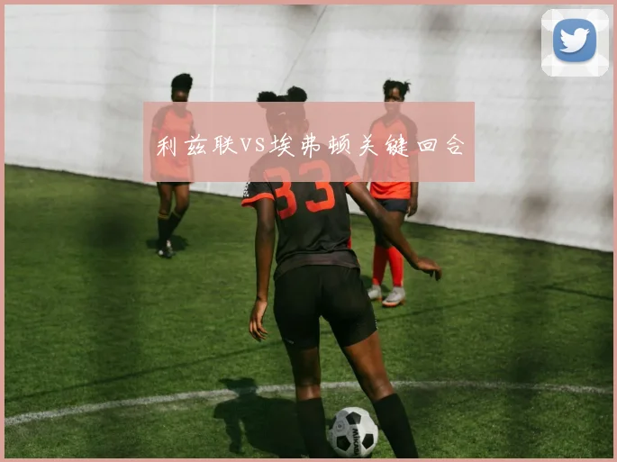 利兹联vs埃弗顿关键回合